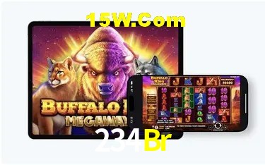 234Br Salvador - Statistics